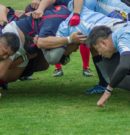 Rugby : HCup, et si c’était un problème de niveau  ?