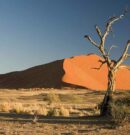Randonnée en Namibie : où vivre une échappée hypnotique ?