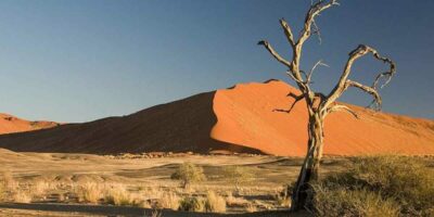 préparer randonnée namibie