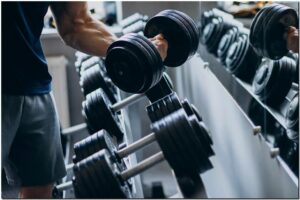 musculation pour débutants
